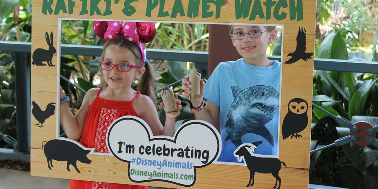 Guests Are Helping Make Enrichment for Animals