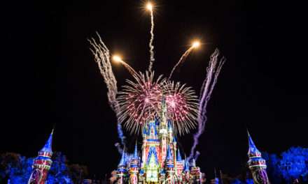 Dazzling Fireworks Display Delights