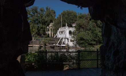 Cool Off in Our Favorite Shady Spots at Disneyland Resort