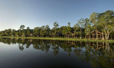 Good Morning From Copper Creek Villas & Cabins
