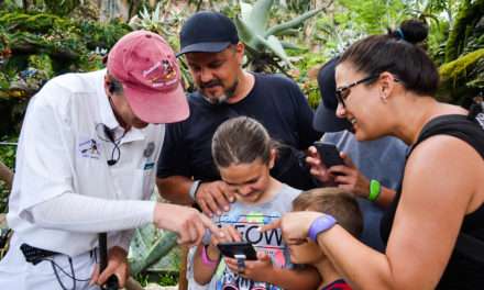 Guests Unlock $100,000 Contribution for Elephant Conservation Through ‘Connect to Protect’ in Pandora