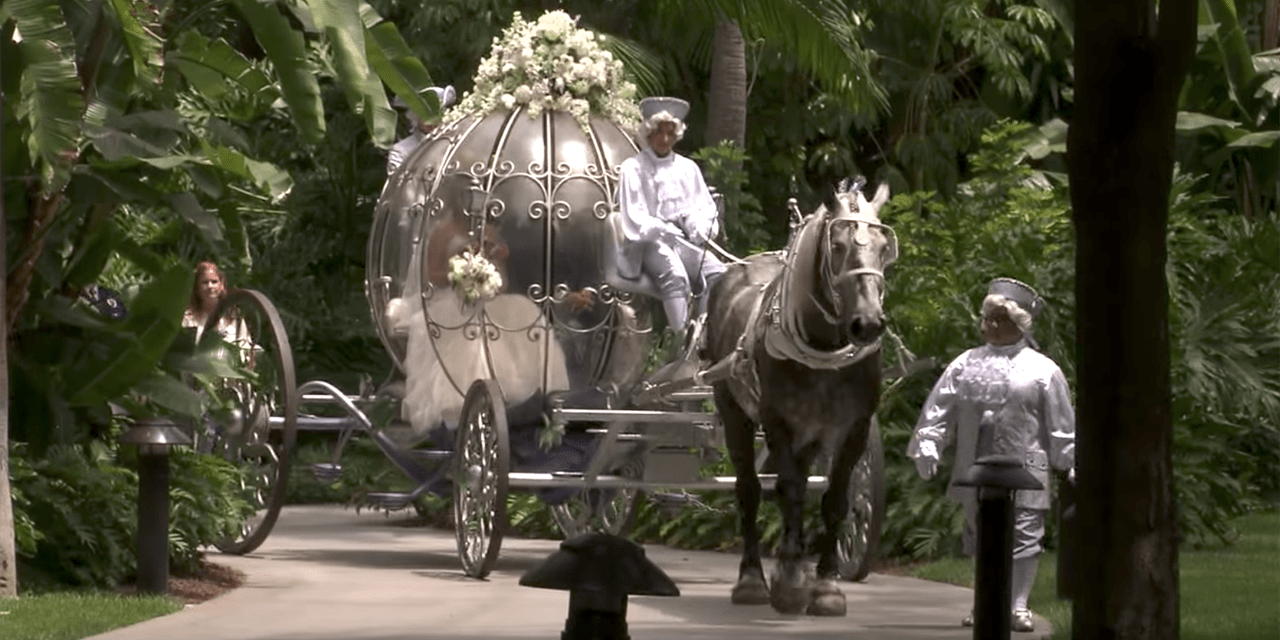 Wedding Planner, Disney’s Fairy Tale Weddings