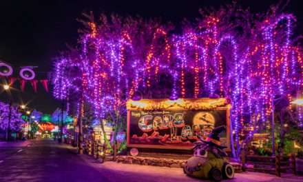 A Walk in the Park – After Dark: Haul-O-Ween In Cars Land at Disney California Adventure Park