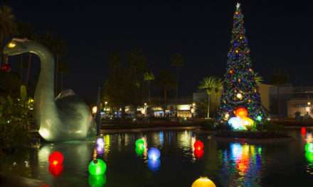 Watch Walt Disney World Resort Transform for the Holidays