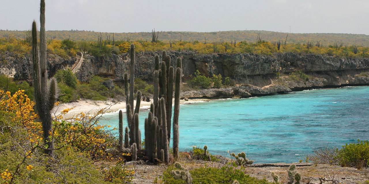 Adventures in Bonaire with Disney Cruise Line