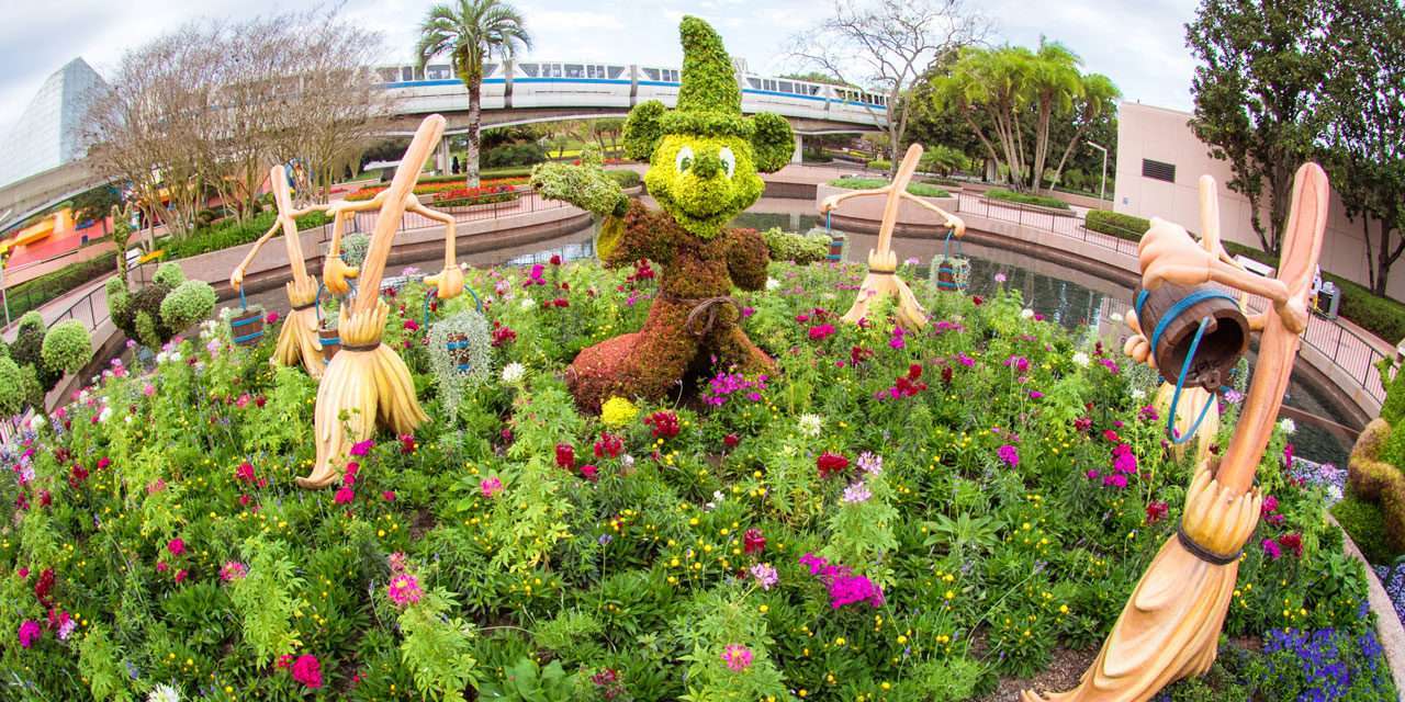 Springtime at Walt Disney World Resort