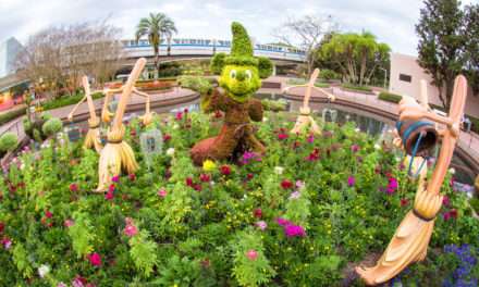 Springtime at Walt Disney World Resort