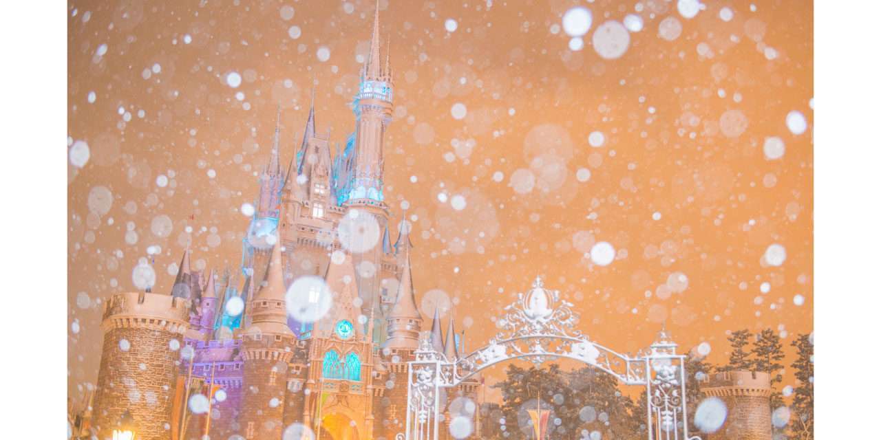 Tokyo Disneyland Becomes A Winter Wonderland