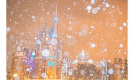 Tokyo Disneyland Becomes A Winter Wonderland