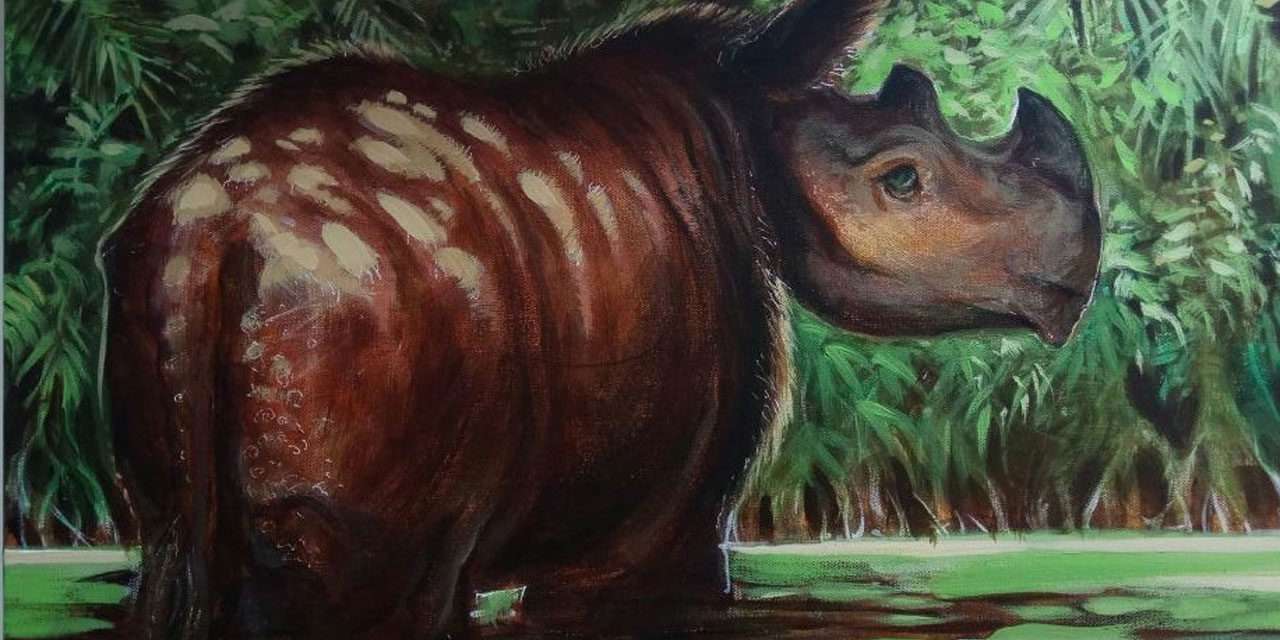 Imagineers Donate Personal Art to International Rhino Foundation Auction