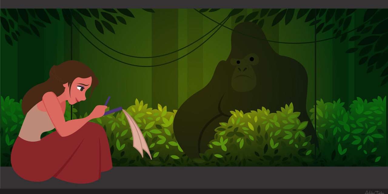 Jane Visits the Gorilla Falls Exploration Trail
