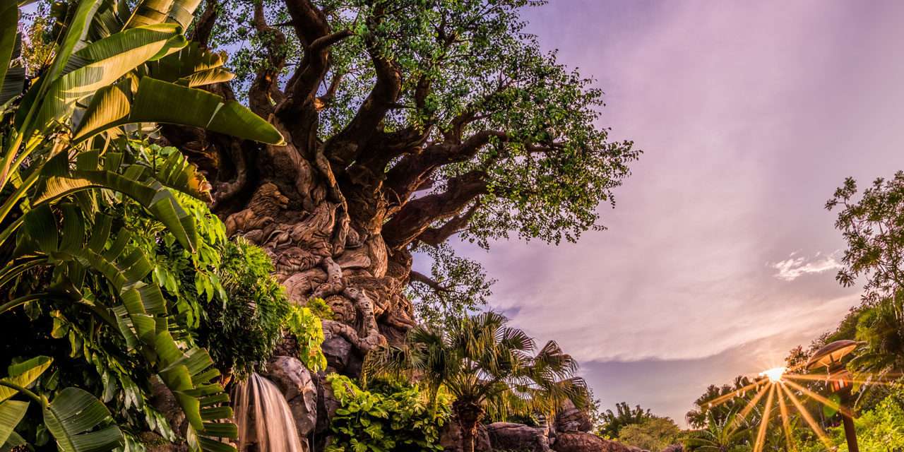 Disney’s Animal Kingdom Will Mark 20th Anniversary With A ‘Party For the Planet’ April 22-May 5