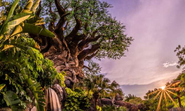 Disney’s Animal Kingdom Will Mark 20th Anniversary With A ‘Party For the Planet’ April 22-May 5