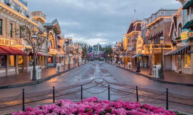Looking for Love? These Cast Members Found It While Working at the Disneyland Resort