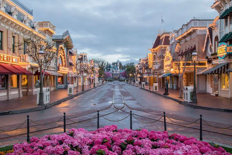 Looking for Love? These Cast Members Found It While Working at the Disneyland Resort