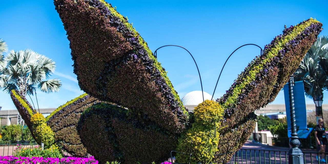 Panelist Favorites at Epcot International Flower & Garden Festival