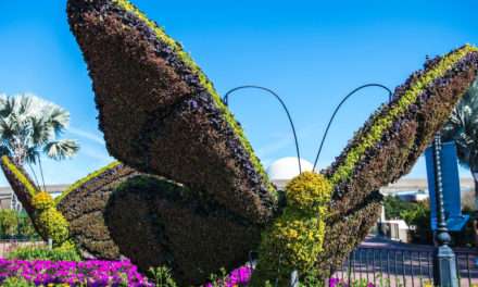 Panelist Favorites at Epcot International Flower & Garden Festival