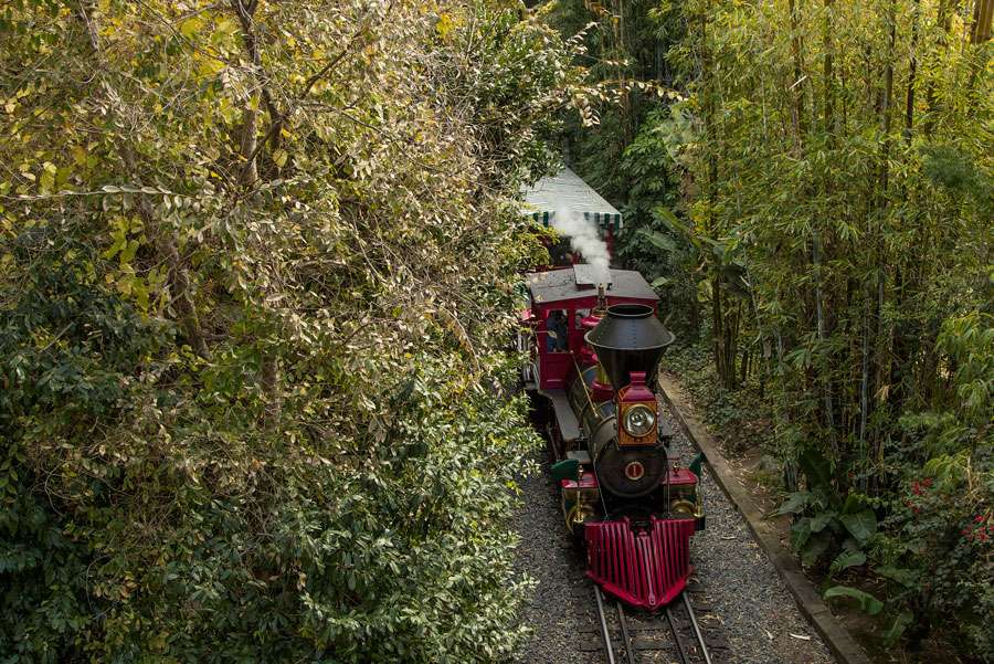 The Disneyland Railroad at Disneyland Park | Mickey News