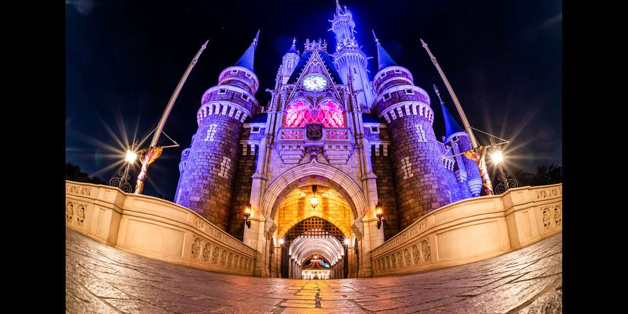 Tokyo Disneyland’s Castle at Night