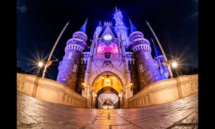 Tokyo Disneyland’s Castle at Night