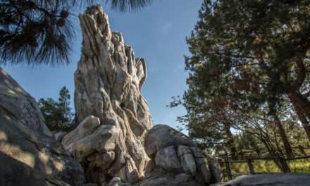 Grizzly River Run at Disney California Adventure Park