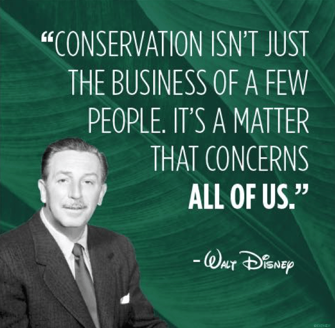Disney Expands Environmental Commitment by Reducing Plastic Waste