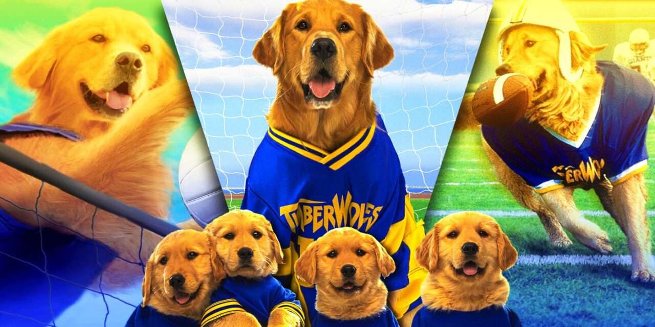 Embrace the Magic: Disney’s ’90s Gem *Air Bud* Sparks Wild Franchise Journey