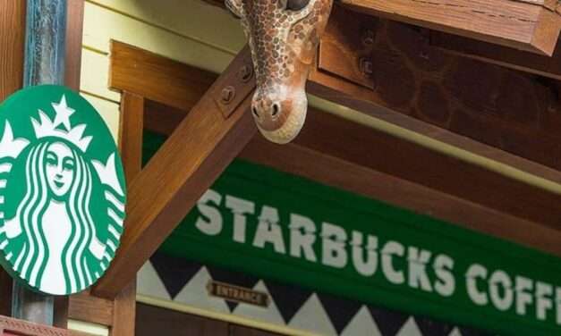 Unveiling the Brewing Storm: Disney, Starbucks, and the DEI Debate