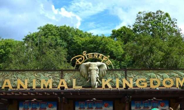 Unsettling Experiences and Exciting Changes at Disney’s Animal Kingdom