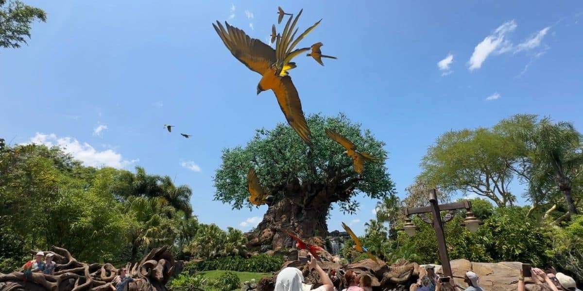 Trouble in Pandora: Technical Setbacks Hit Disney’s Animal Kingdom