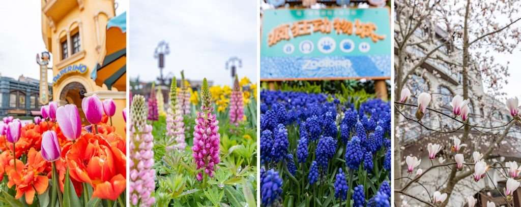 “Shanghai Disney Resort Embraces Earth Month 2024 with Engaging Conservation Activities”