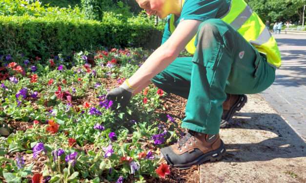 Disneyland Paris Blooms in a Burst of Summer Magic