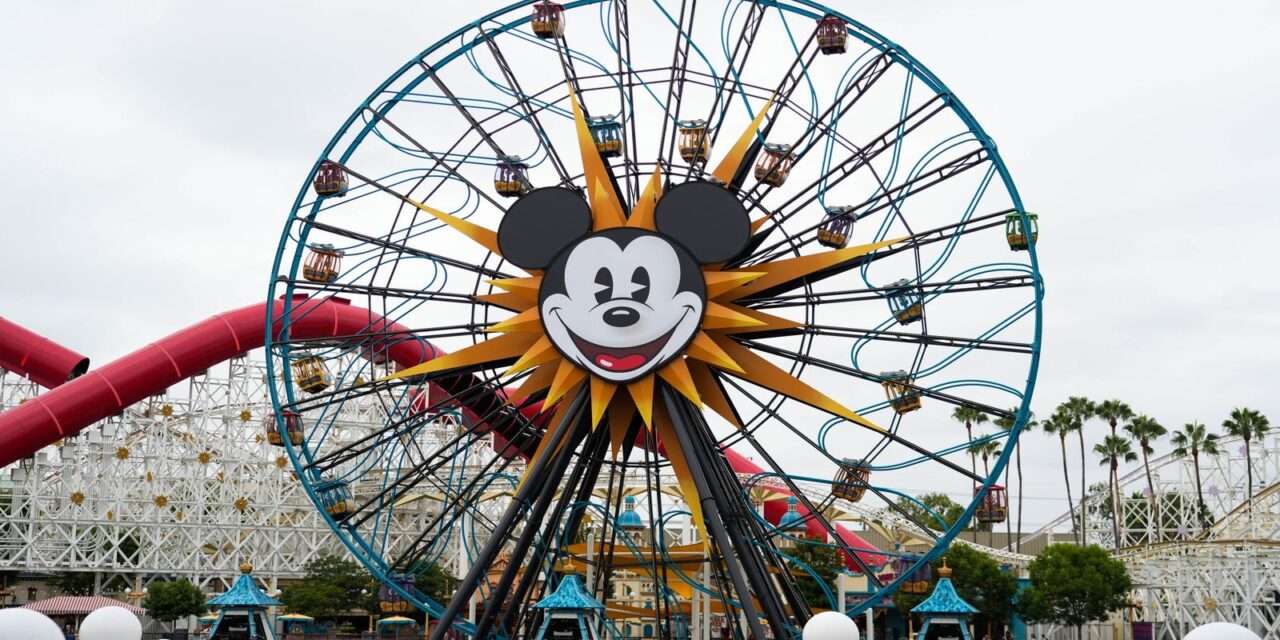 Tragic Loss at Disneyland: Remembering Cast Member Bonnye Mavis Lear