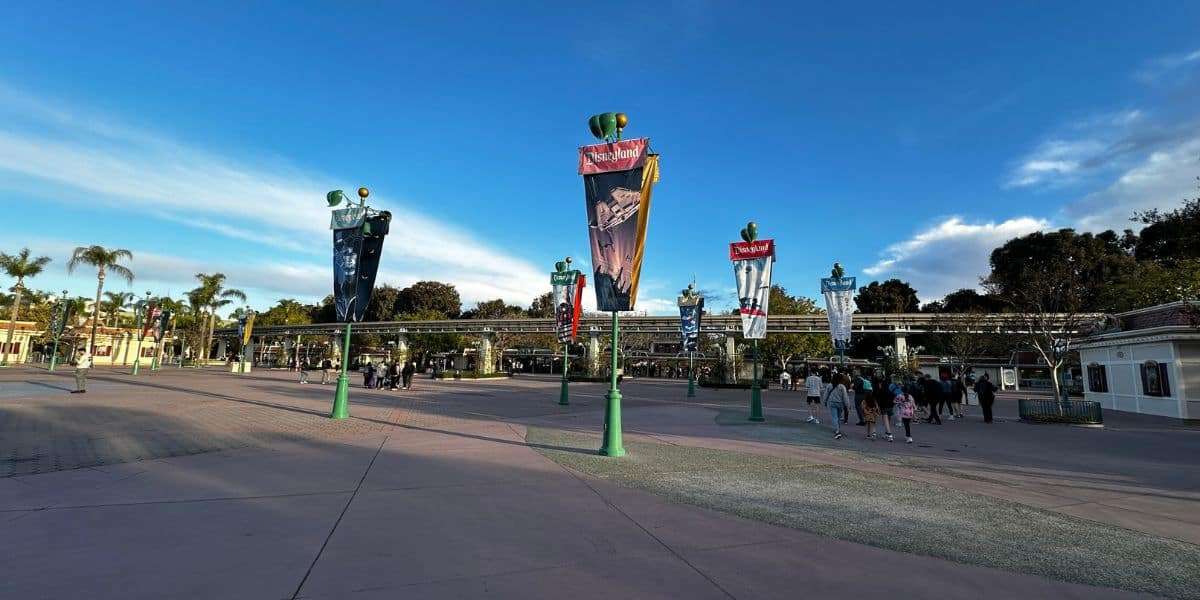 Tragic Accident Near Disneyland Resort Leaves Community Heartbroken