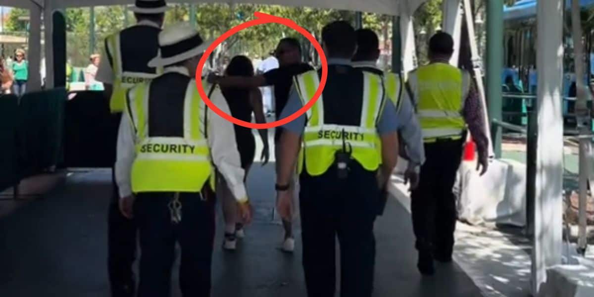 Disneyland Resort Faces Alcohol Dilemma: Should Restrictions Be Imposed?