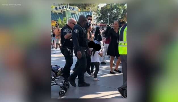 Unexpected Moments at Disneyland: Guest’s Unusual Stunt on Pirates of the Caribbean Ride Sparks Attention