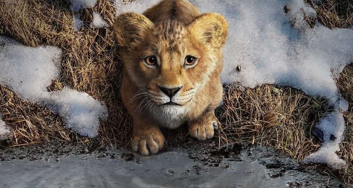 “Mufasa: The Lion King” Roars Onto Disney Plus: A Majestic Prequel to the Iconic Tale