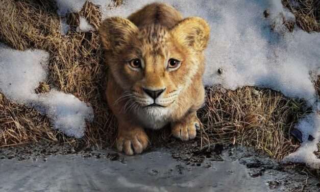 “Mufasa: The Lion King” Roars Onto Disney Plus: A Majestic Prequel to the Iconic Tale