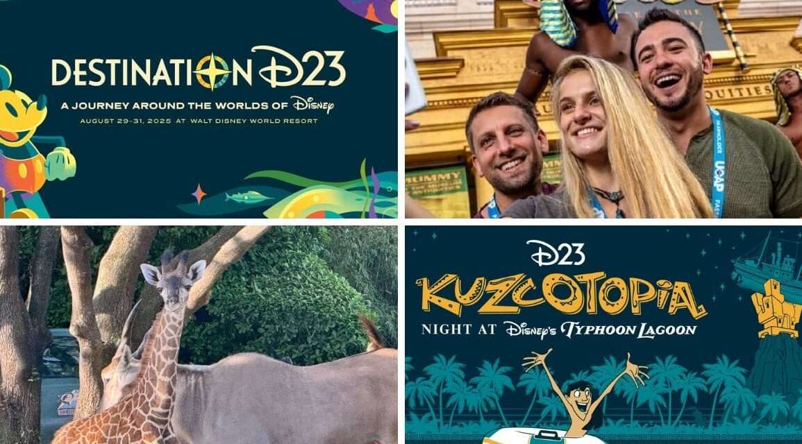 Exciting Updates from Disney and Universal Theme Parks!
