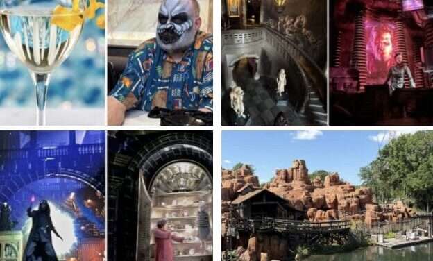 Disney Delights: Latest Happenings from Parks and Beyond