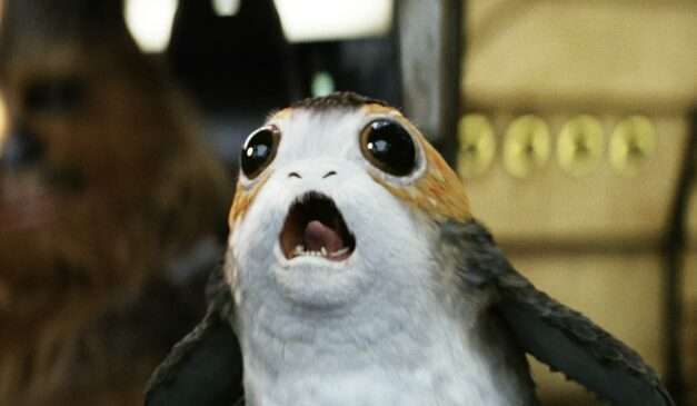 “Delicious Discoveries at Star Wars Nite in Disneyland Park!”
